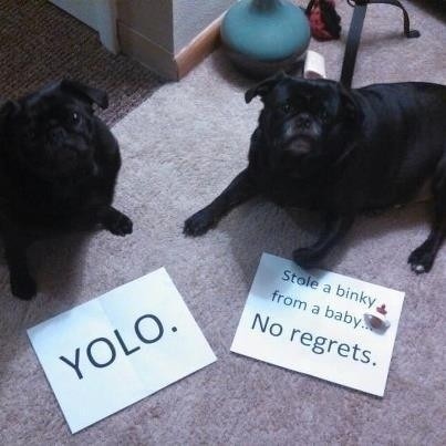 Baby's gotta learn.