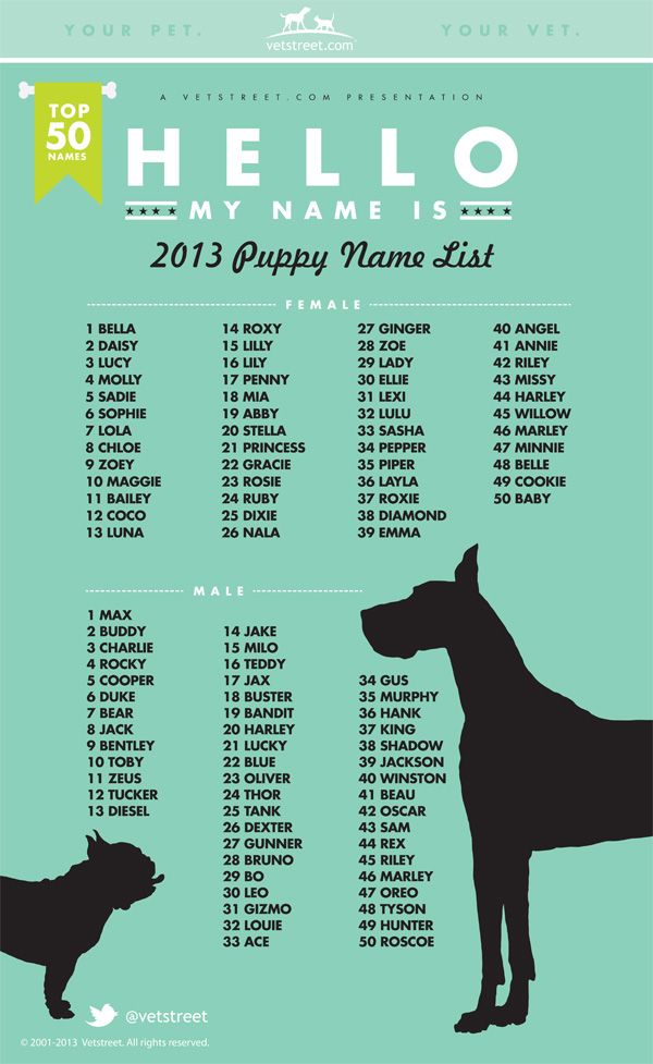 2013-Dog-name-list-600mk