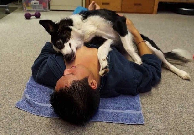 Border Collie and owner
