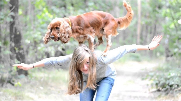 funny cocker spaniel woman