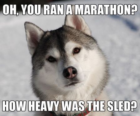 husky sled meme