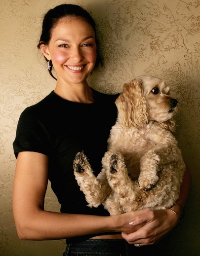 Ashley Judd spaniel