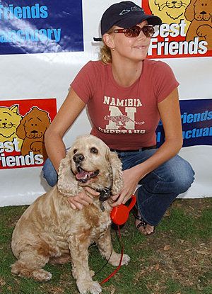 Charlize Theron cocker spaniel