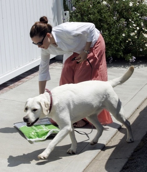 Jennifer Garner dog Martha