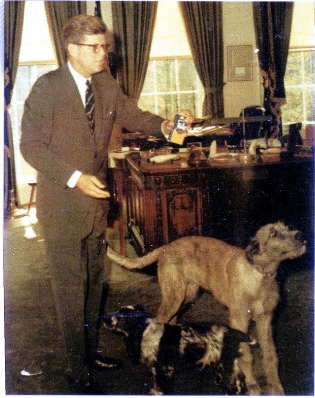 John F Kennedy dogs