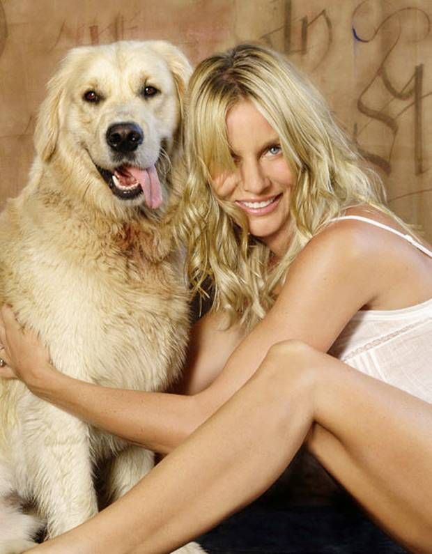 Nicollette Sheridan golden retriever