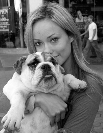 Olivia Wilde bulldog