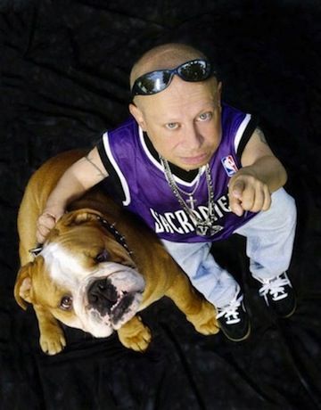 Verne Troyer bulldog