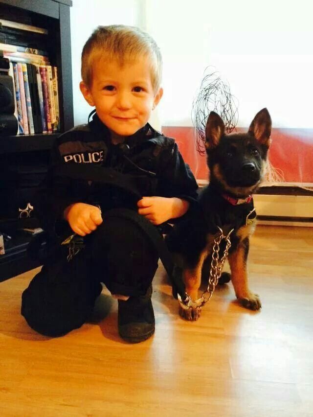 cute kid puppy german shepherd friends