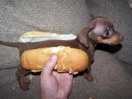 Just in case you needed justification for the name "wiener dog."
