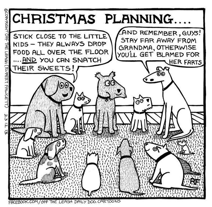 Funny Dog Cartoons