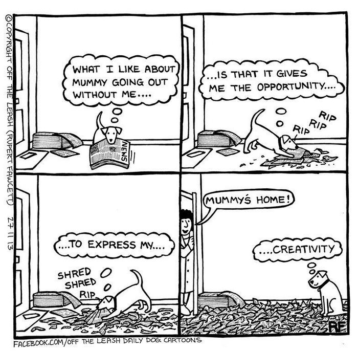 Funny Dog Cartoons Funny Dog Cartoons