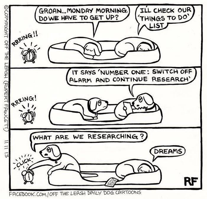 Funny Dog Cartoons