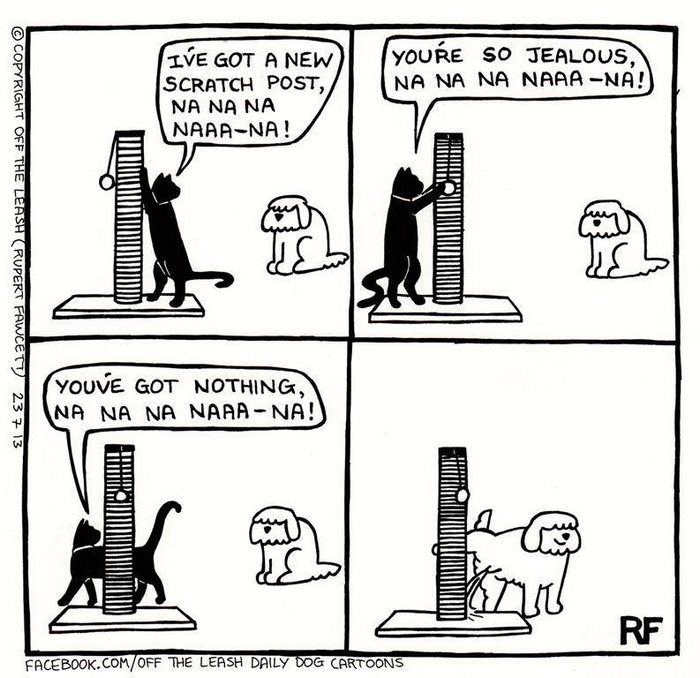 Funny Dog Cartoons Funny Dog Cartoons
