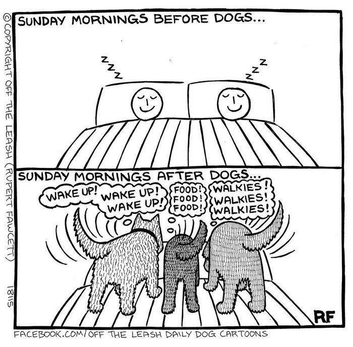 Funny Dog Cartoons