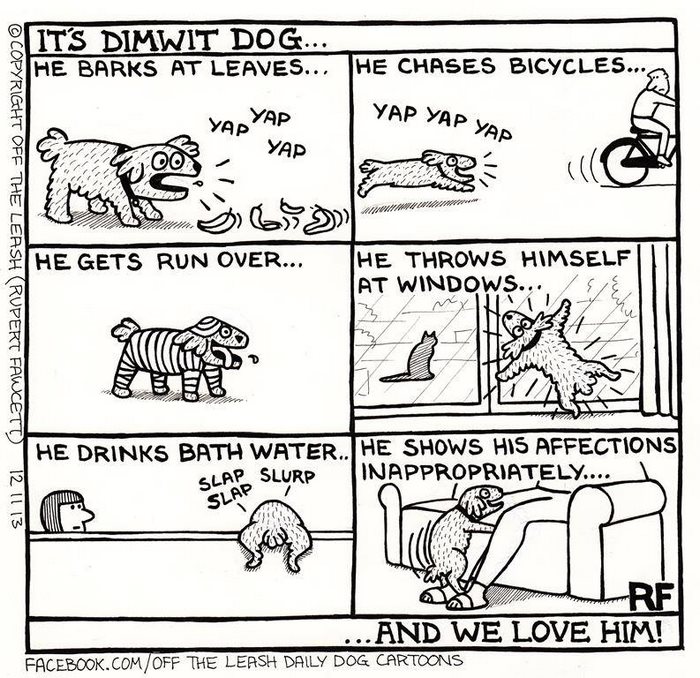 Funny Dog Cartoons Funny Dog Cartoons