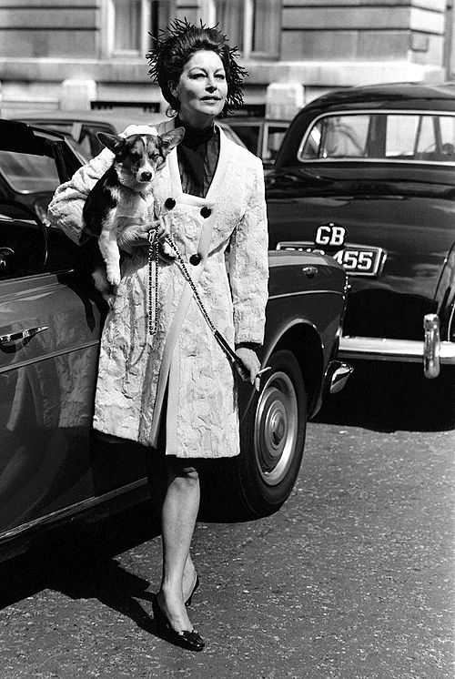 Ava Gardner corgi