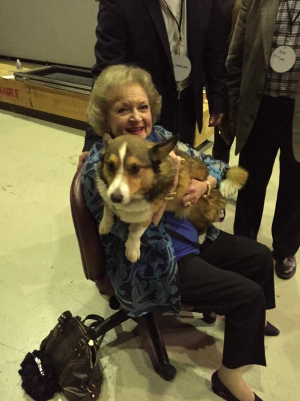 Betty White corgi