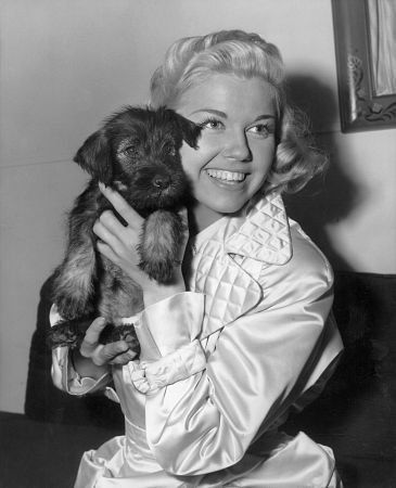 Doris Day With Schnauzer