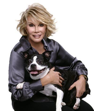 Joan Rivers Boston terrier