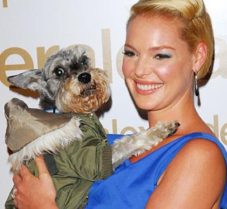 Katherine Heigl Mini Schnauzer