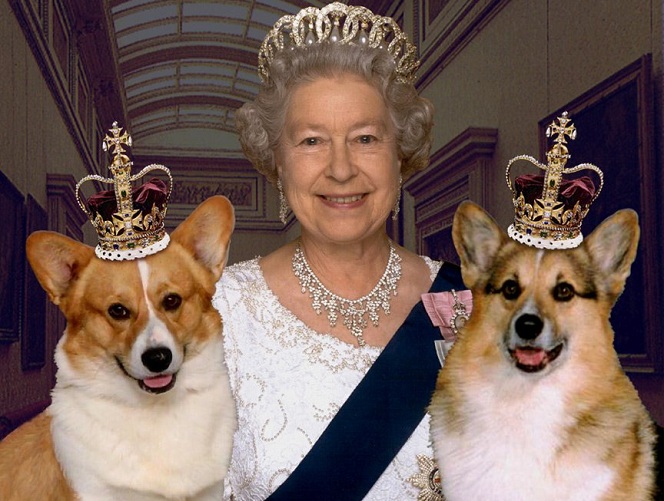 Queen Elizabeth corgis