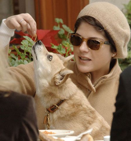 Selma Blair corgi