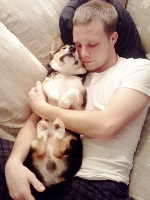 man sleeping with corgi pics