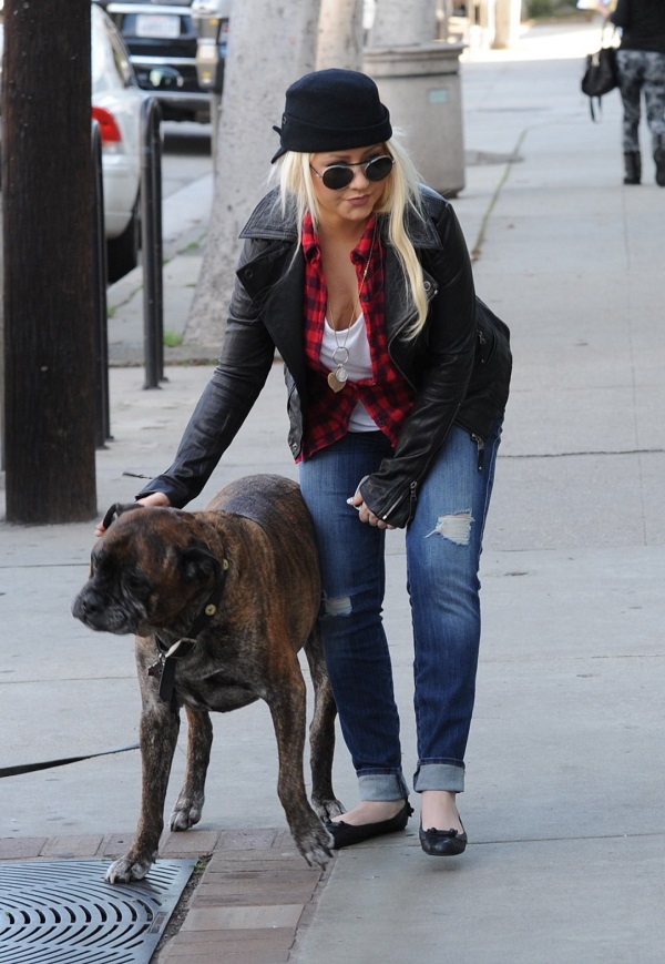 Christina Aguilera bull mastiff