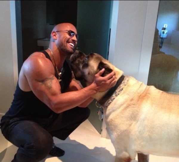 Dwayne Johnson and his mastiff