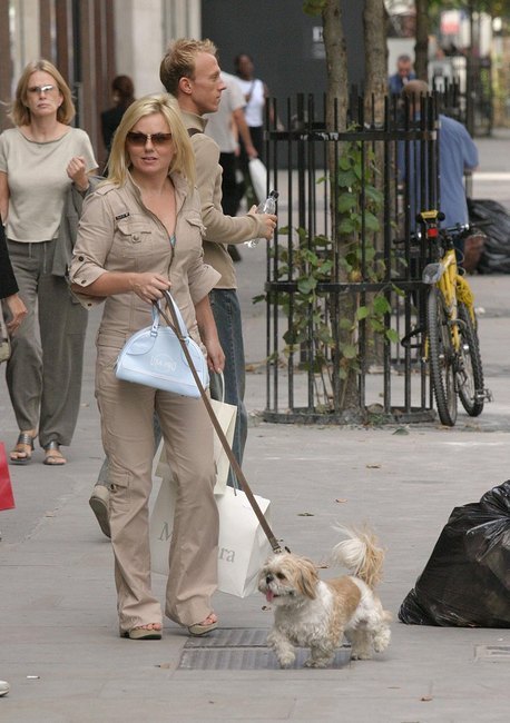 Geri Halliwell shih tzu