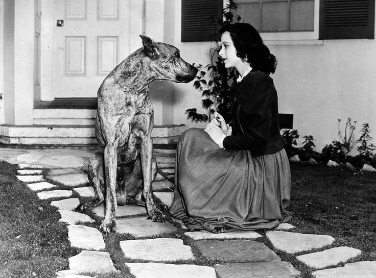 Hedy Lamarr with dog