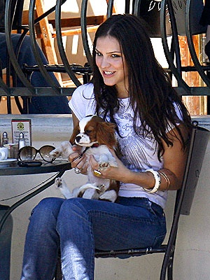 Katherine McPhee spaniel