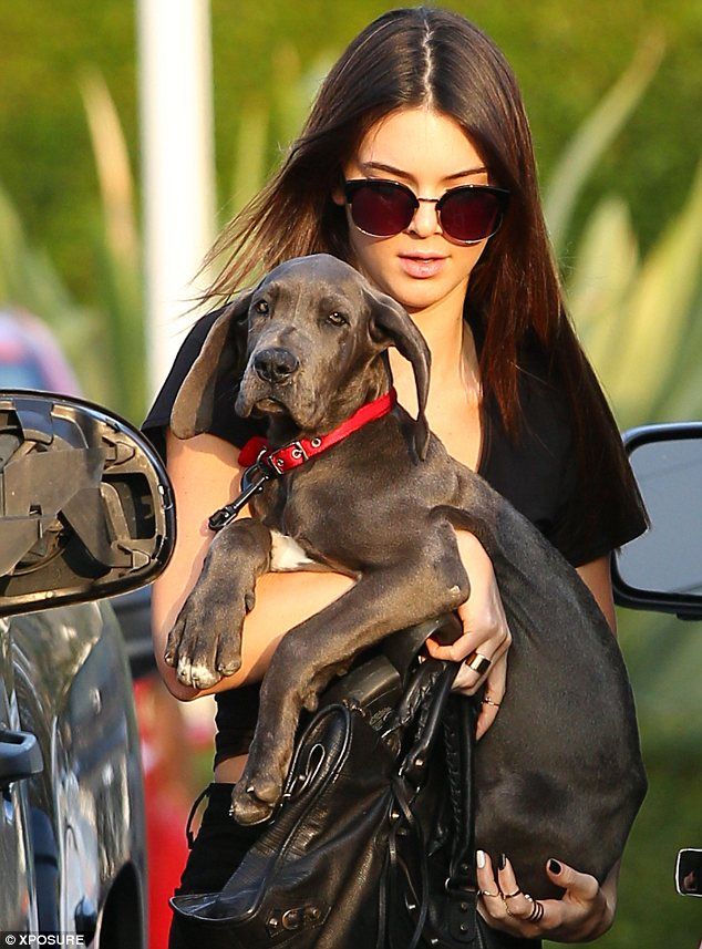 Kendall Jenner with great dane puppy