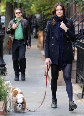 Liv Tyler spaniel