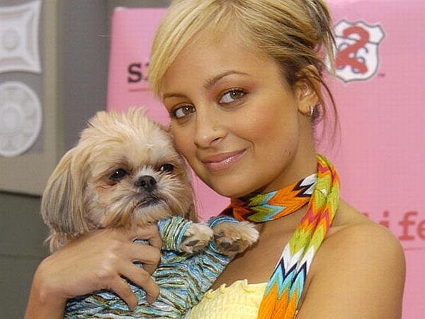 Nicole Richie shih tzu