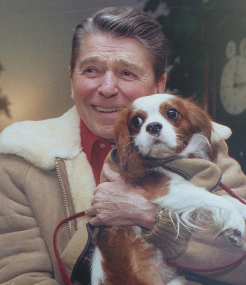 Ronald Reagan spaniel