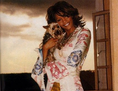 Whitney Houston yorkie