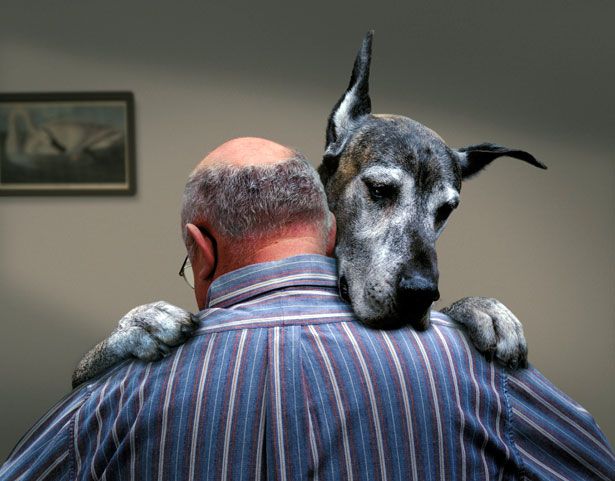 man hug his great dane