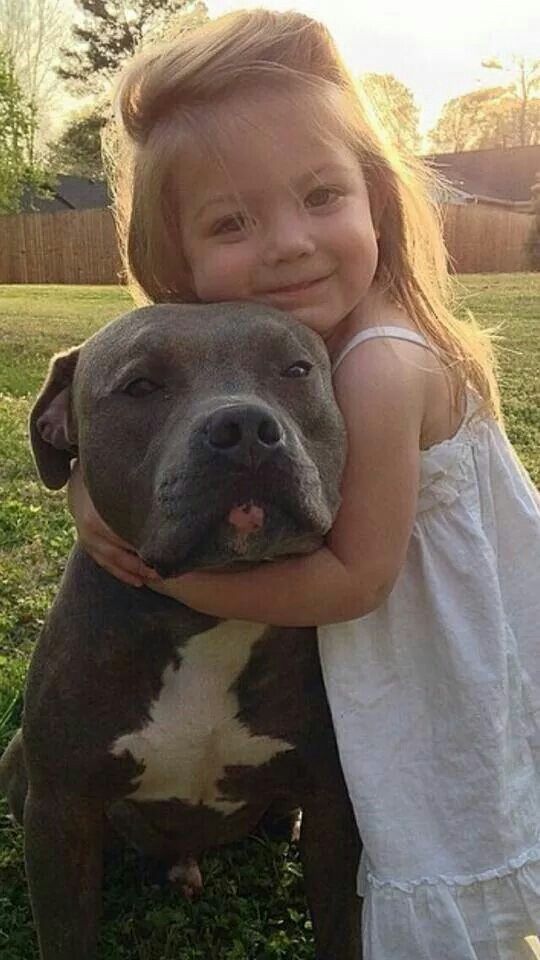 pit bull kid girl friends