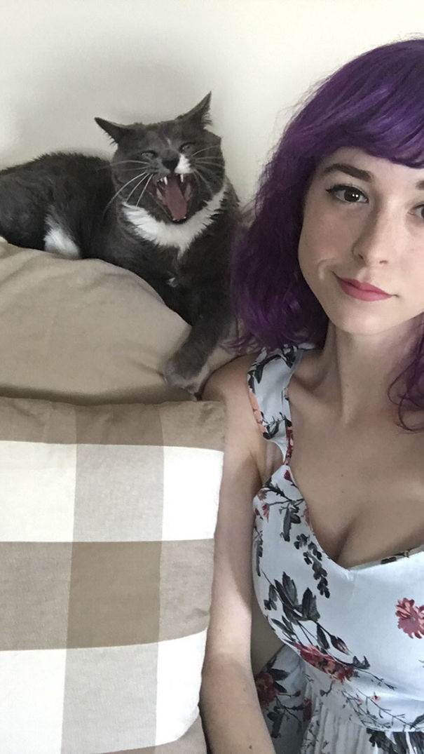 Taking Decent Pictures With A Pet Is A Struggle Pals Taking Decent Pictures With A Pet Is A Struggle Pals
