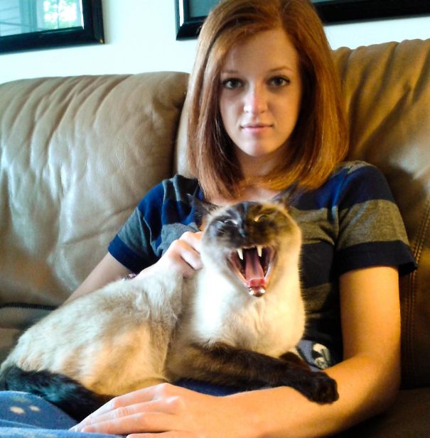 My Cat Loves The Camera My Cat Loves The Camera