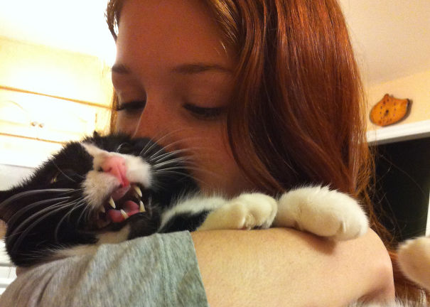 My Kitty Cat Loves Kisses My Kitty Cat Loves Kisses