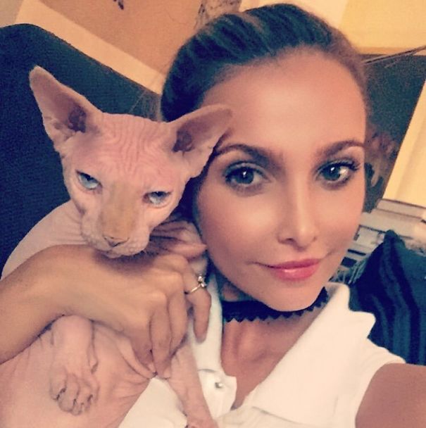 This Cat Hates Selfies This Cat Hates Selfies