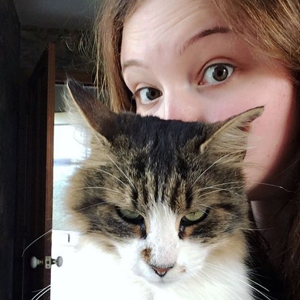 My Cat Obviously Hates Selfies My Cat Obviously Hates Selfies