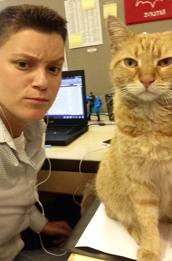 Selfie With Tom, The Office Cat Selfie With Tom, The Office Cat