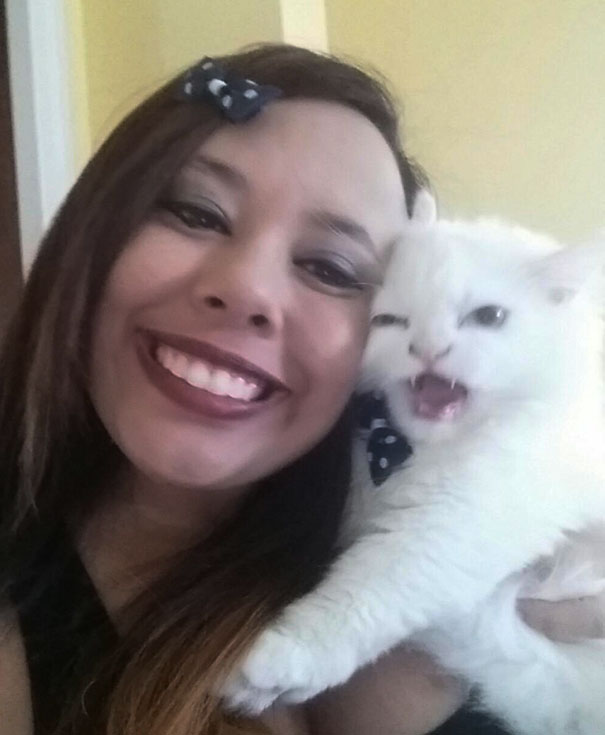 My Friend Tried To Take A Selfie With Her New Kitty My Friend Tried To Take A Selfie With Her New Kitty