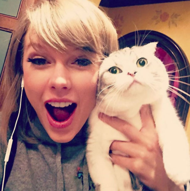 Meredith Is Allergic To Joy Meredith Is Allergic To Joy