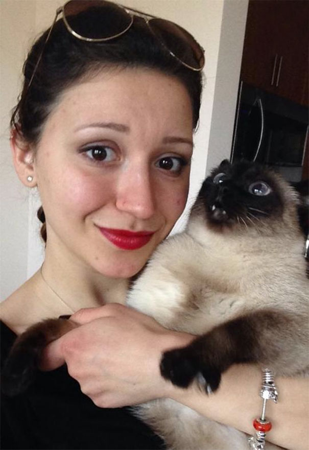 I Took A Selfie With My Cat I Took A Selfie With My Cat