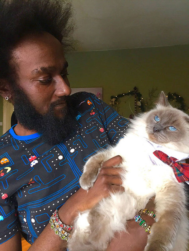 This Cat Clearly Hates Selfies This Cat Clearly Hates Selfies